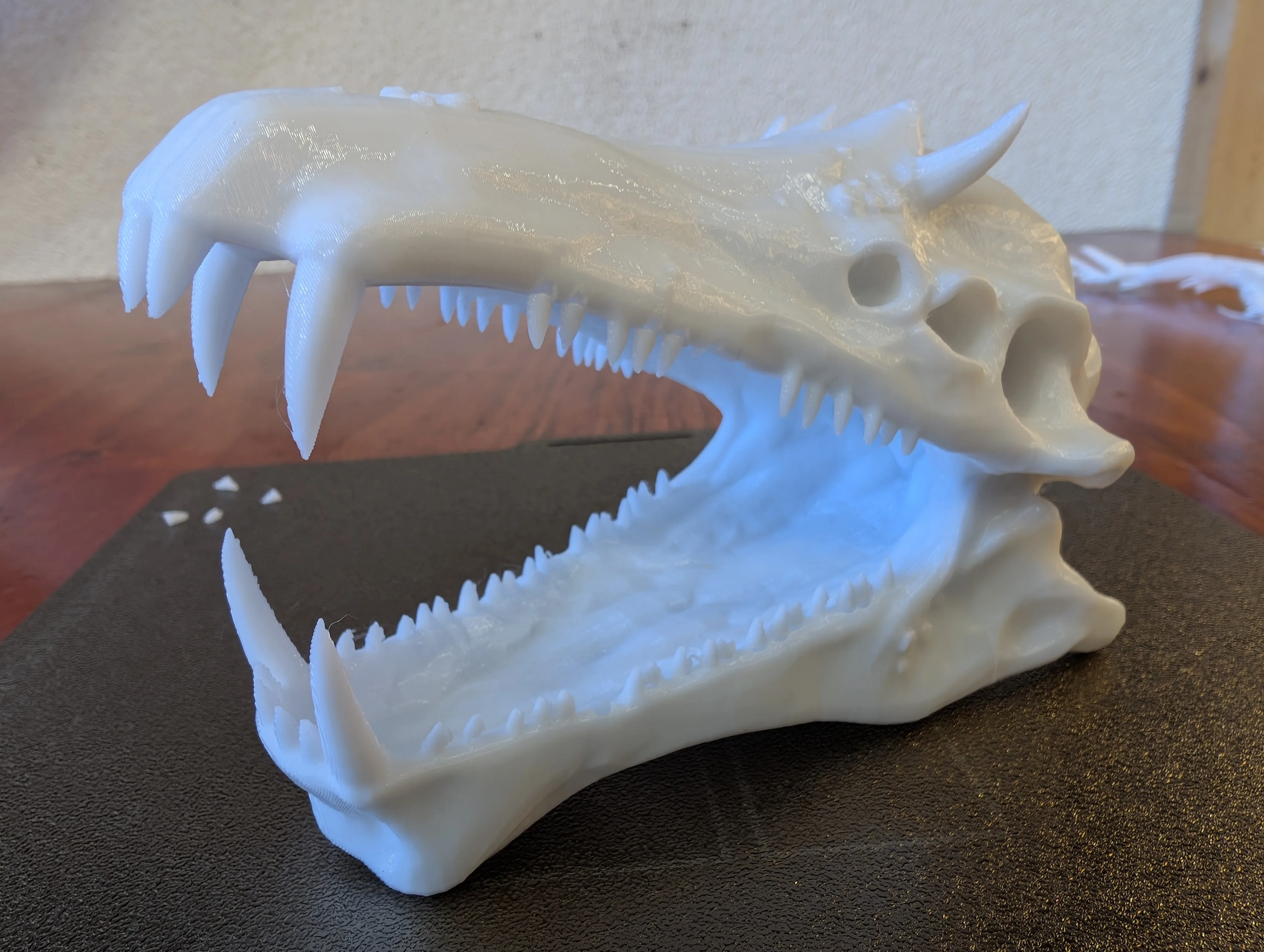 Open jaw from the front, lots of space for the fishes to swim into it